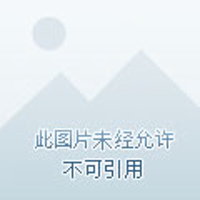 商业管理顾问